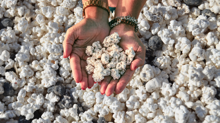 popcorn beach