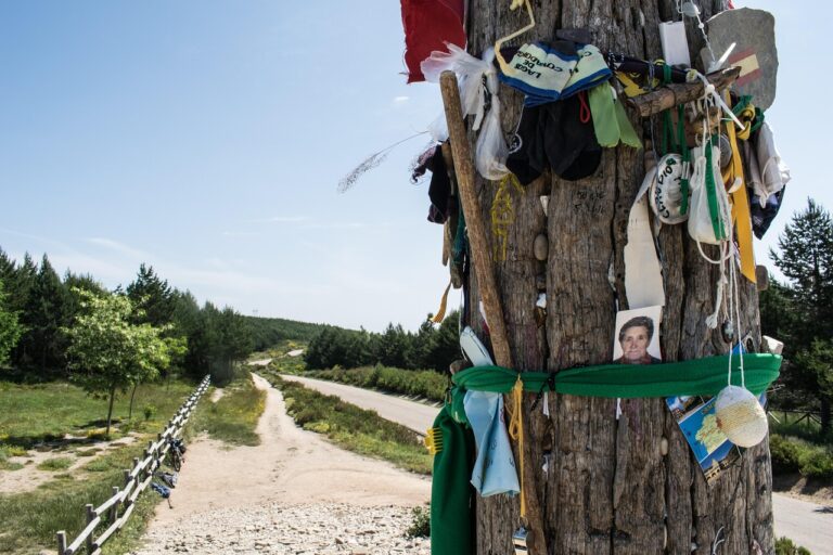 The Walk That Breaks You Open: A Beginner’s Guide to the Camino de Santiago