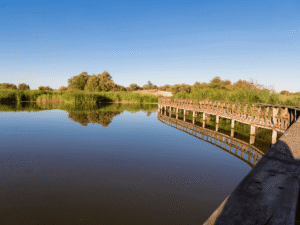7 Spanish Wetlands Where Peace Seeps Into Your Bones